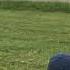 Herding Cows With Jazz Music