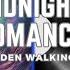 Sodden Walking Midnight Romance AI Video Mix Modern Talking Style