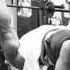 Frank Mcgrath Animal Arms