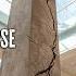 The Most Disturbing Disasters In History