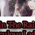 In The Rain Music Box Cover Miraculous Ladybug