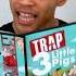 Trap 3 Little Pigs