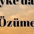 Syke Däli Özüme 2018