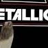 Metallica Live November 30 1982 San Francisco California Mabuhay Gardens