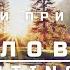 Звуки природы 10 часов Пение соловья Расслабляющий чистый звук пения птиц NIGHTINGALE