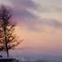 Morning Glory Samsung Ringtone