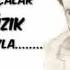 Ahmet Kaya Sel Dağ
