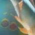 Parrot Fish And Friends