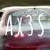 Ax3S MAR Chipmunk