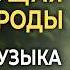 111гц Божественный свет природы Звуки Леса и птиц Глубокая музыка для сна исцеления и отдыха