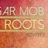 Indian Roots Denis Filipovic Remix