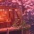 Cherry Blossom Road