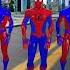 Spider Man Coffin Dance Meme COVER Shorts P11