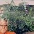Om Puri House In Mumbai Shorts Youtubeshorts