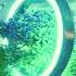 AFRONOM Emre K Tyler James Bellinger Another Life Remix By DJ Samm S