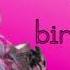 Happy Birthday Lyrics Sarah Jeffery
