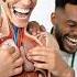 Human Digestive System Animation Human Anatomy Stomach AI Art 07