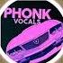 SAMPLE VOICE BRAZILIAN PHONK ACAPELLA TA TAPA PARANDO TUDO WZ BEAT 130 BPM