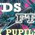 Big Gigantic Friends Feat Ashe Party Pupils Remix Official Audio