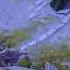Ryu S Dota 2 Short 7 Clarity League S12 Kicking Medusa