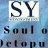 Episode 21 The Soul Of An Octopus By Sy Montgomery