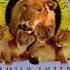 MGM UA Family Entertainment W 1995 Present Roar
