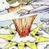 Dookie Full Album Very Clean Green Day