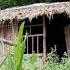 A Homeless Girl Exploring An Abandoned House In The Forest Will CEO Don Be Able To Find Her