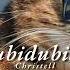 Vietsub Dubidubidu Christell Lyrics Video