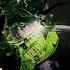 Moodkiller TRUVIO Electro Freestyle Music Electric Boogie Music Beats Dance