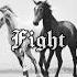 Bandi Bagi Fight