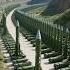 China S Protection Wall Army Viralvideo Shorts Military Trending Paf Love Duet Usa