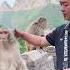 Xiaobai Is So Good The Monkey Has Become A Spirit Please Do Not Imitate Dangerous Moves