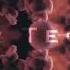 Nora En Pure Indulgence Club Mix