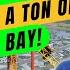 3 Campgrounds And Tons Of Fun In Tampa Bay RV Life