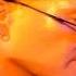 Thomas Dolby Hyperactive HQ Audio