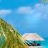 Edward Maya Ft Akcent Passion In Paradise FruitMusica