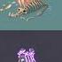 Pluckbill Vs Withur My Singing Monsters