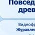 Тема 44 Повседневная жизнь древних греков