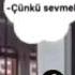 Kırgın Kalpler