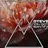 Steve Tosi You Got The Love Santify Mix