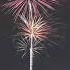 Nymano X Pandrezz Fireworks