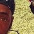 SPECTACULAR Feat LUTAN FYAH SYSTEM DREAD Official Video Carabeo Music