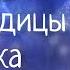 Колыбельная медведицы Наталия Фаустова Bear Lullaby Колыбельные для всей семьи 21