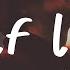 One Republic Wild Life Lyrics