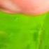 Natural Beauty Underbottal Water Natural Beauty Underbottal Shortvideo Shorts Bottlewater