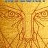 Male Golden Face Ratio Facial Symmetry Formula Binaural Beats Healing Frequency Music