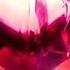 Arozin Sabyh Paradise Fantasy