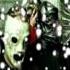 Slipknot Before I Forget Lyrics