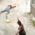 This Happen At GroveDale By A Jamaican Female